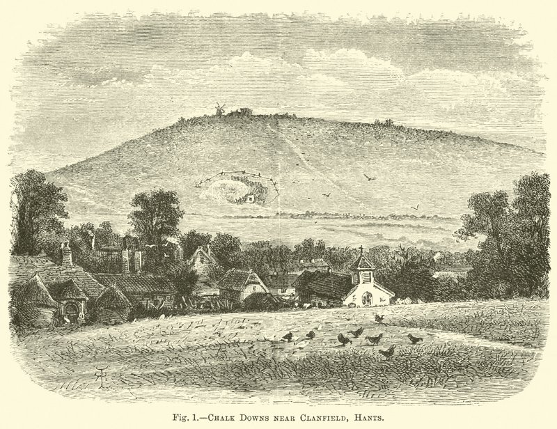 Chalk Downs poblíž Clanfield, Hants od English School