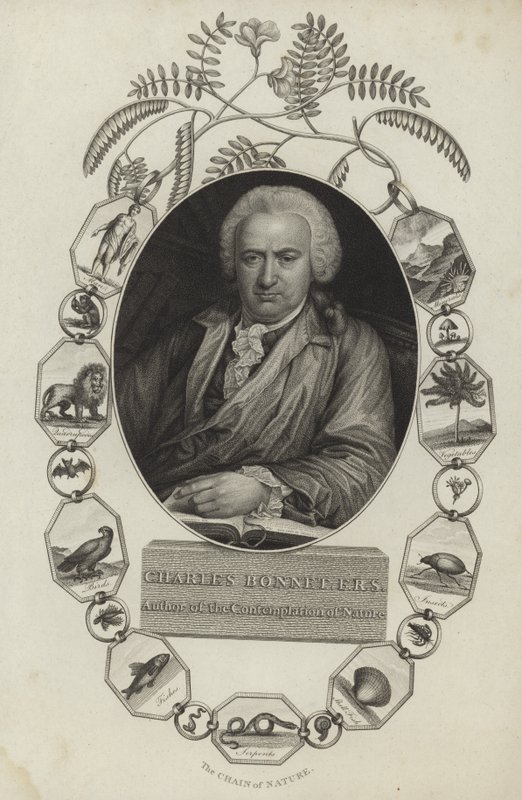 Charles Bonnet od English School