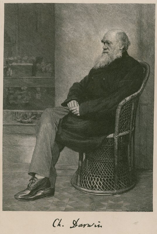 Charles Darwin od English School