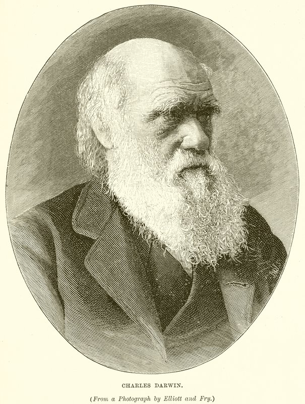 Charles Darwin od English School