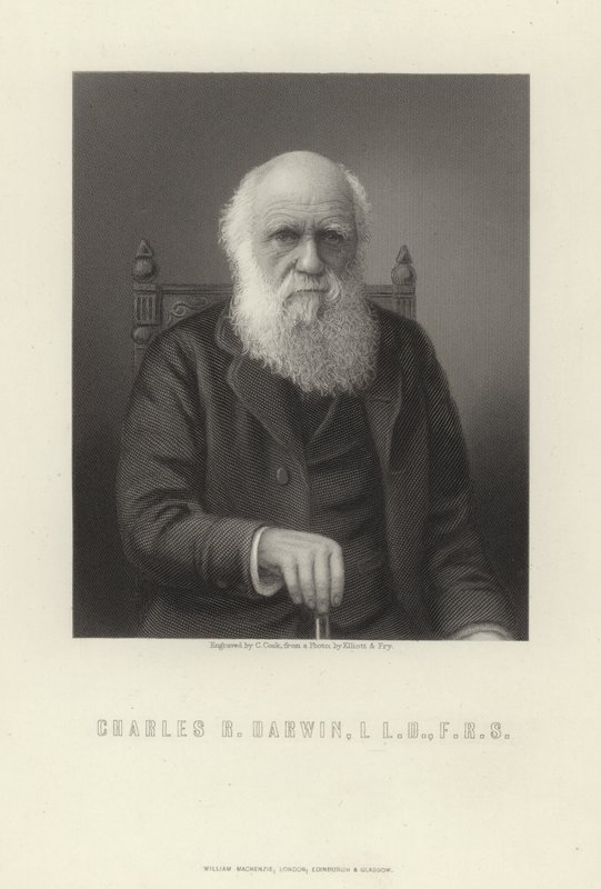 Charles R. Darwin od English School
