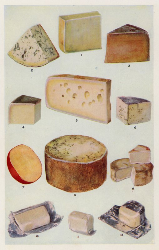 Cheddar; Gorgonzola; Double Gloster; Parmezán; Gruyere; Roquefort; Holandský; Stilton; Camembert; St Ives; Smetana (barevná litografie) od English School
