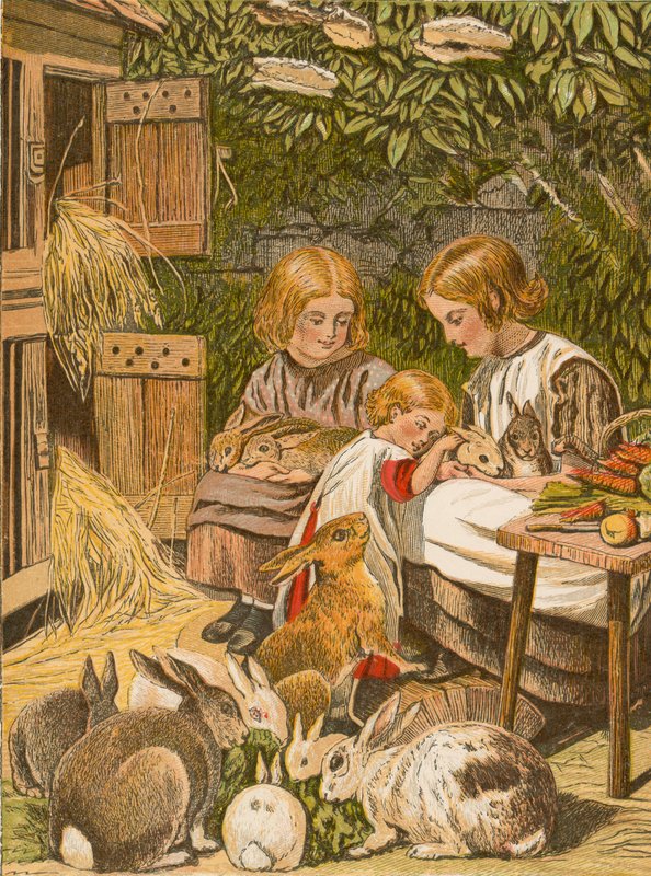 Děti se svými domácími králíky (barevná litografie) od English School