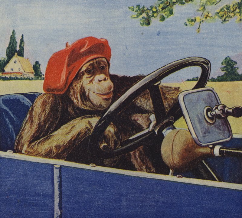 Šimpanz řídí auto (barevná litografie) od English School