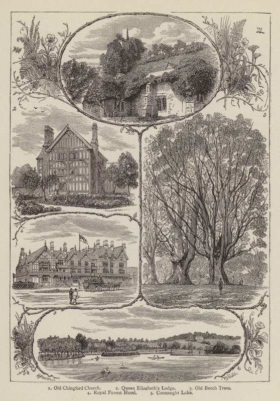 Chingford (rytina) od English School