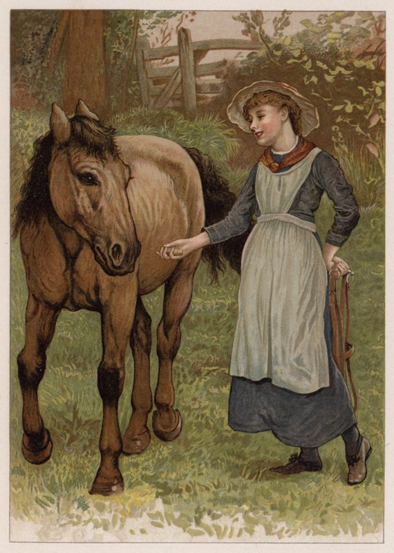 Chytrý Dobbin (chromolit) od English School