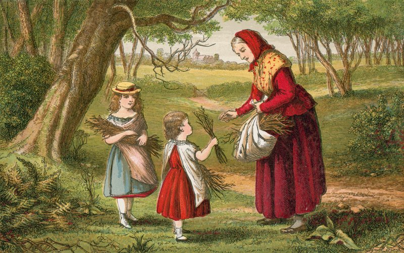 Sbírání palivového dřeva od English School