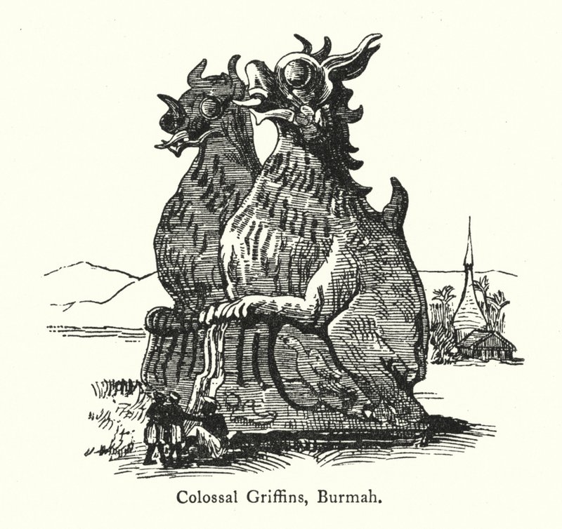 Colossal Griffins, Barmah (rytina) od English School