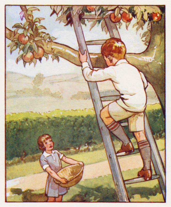 Příkazy: Opatrně vylezte po žebříku (barevná litografie) od English School