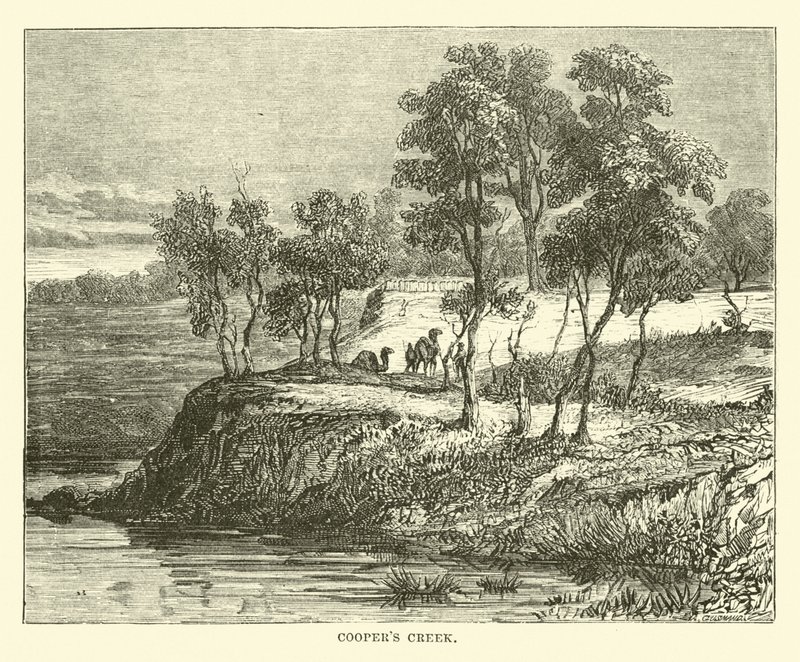 Coopers Creek od English School