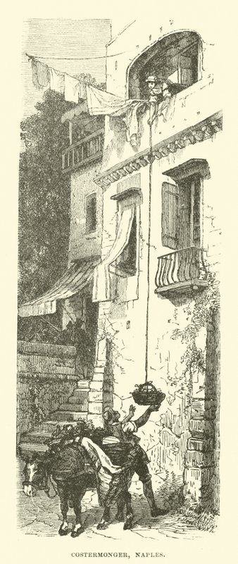 Costermonger, Neapol od English School