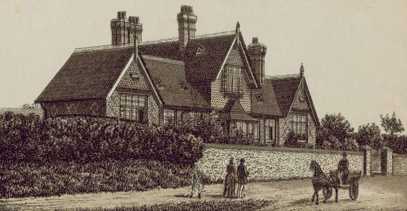 Cottage Hospital, Petersfield (litografie) od English School