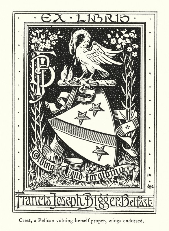 Crest, pelikán, který se zranil, křídla schválena (rytina) od English School