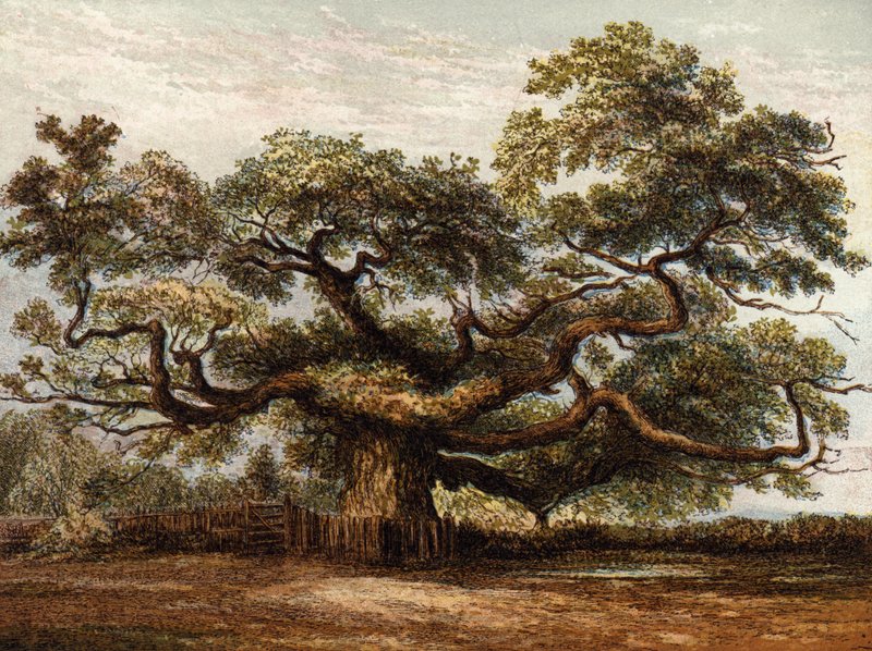 Crouch Oak, Addlestone od English School