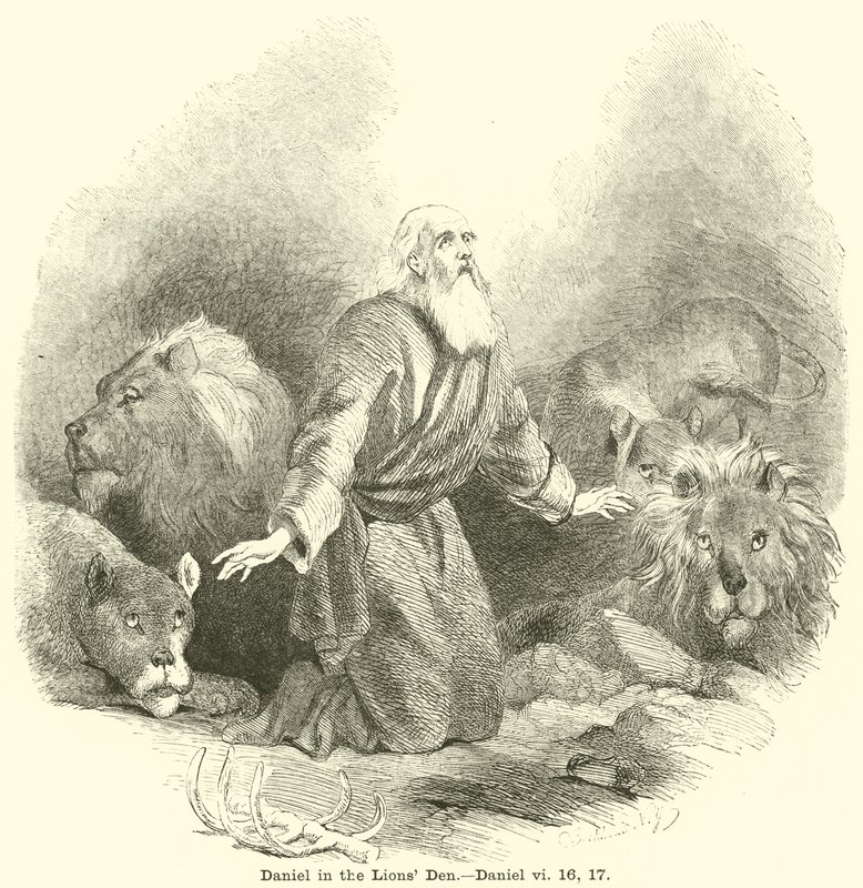 Daniel v jámě lvů, Daniel, vi, 16, 17 od English School
