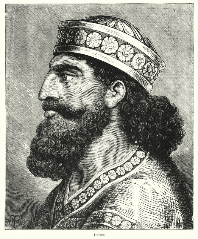 Darius (rytina) od English School