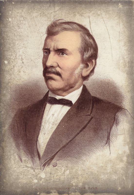 David Livingstone, průzkumník od English School