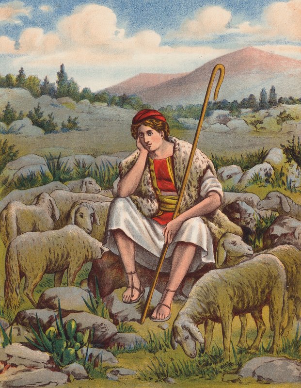 Pastýř David (barevná litografie) od English School