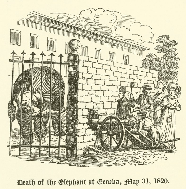 Smrt slona v Ženevě, 31. května 1820 od English School