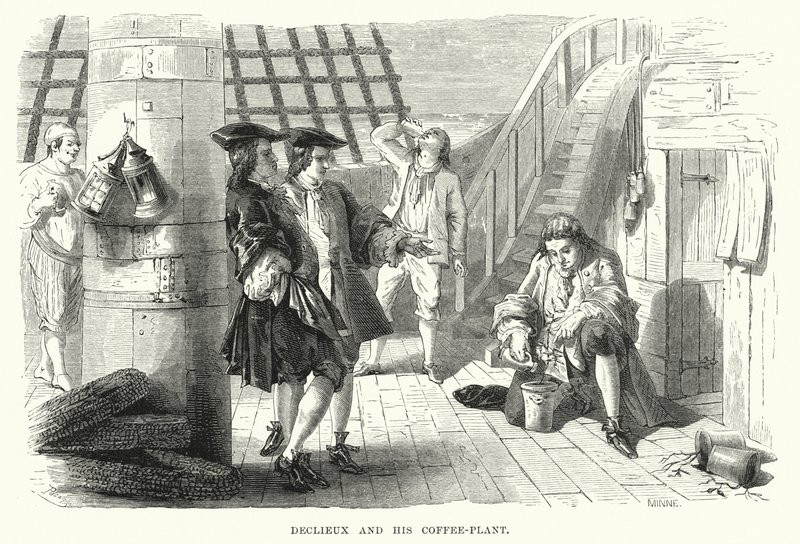 Declieux a jeho kávovník (rytina) od English School