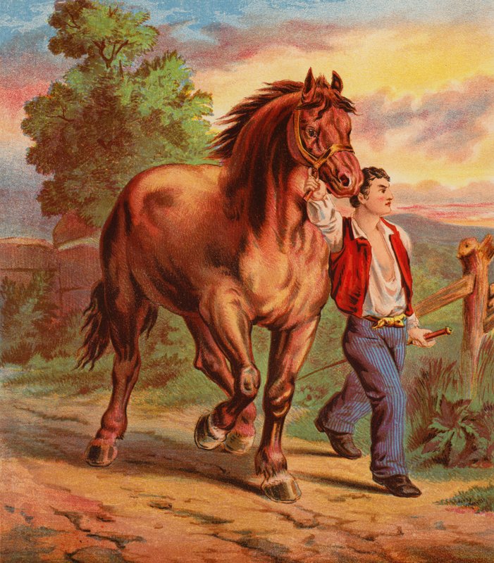 Dick Stevens a Sally (barevná litografie) od English School