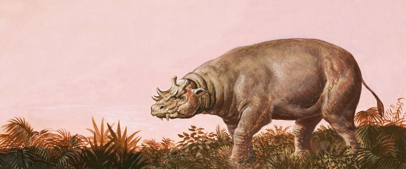 Dinosaurus od English School