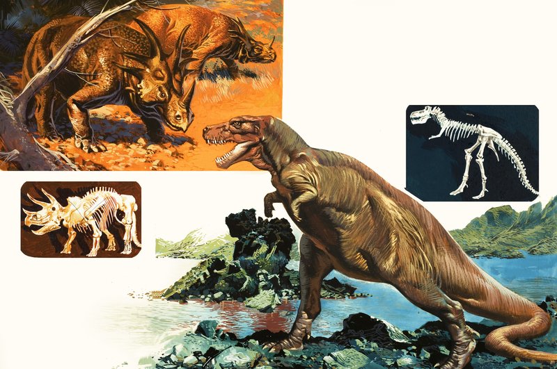 Dinosauři a kostlivci. Stegosaurus a Tyrannosaurus od English School