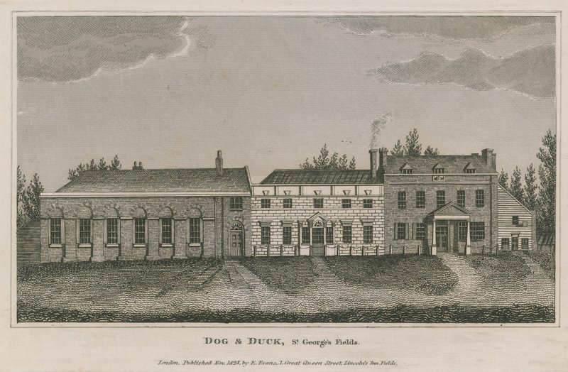 Pes a kachna, St Georges Fields, Lambeth od English School