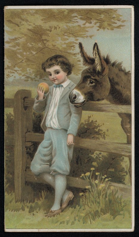 Osel sleduje chlapce s jablkem, blahopřání. (chromolitho) od English School