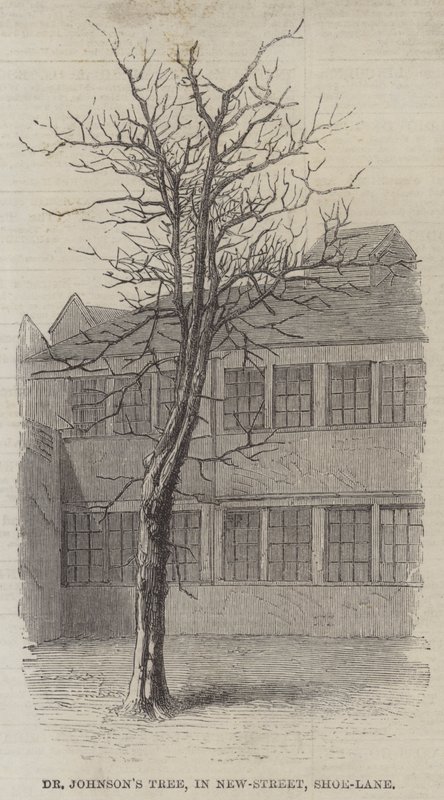 Závěsný od English School