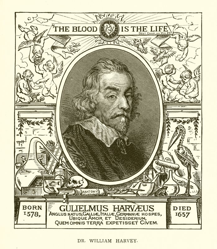 Dr. William Harvey od English School