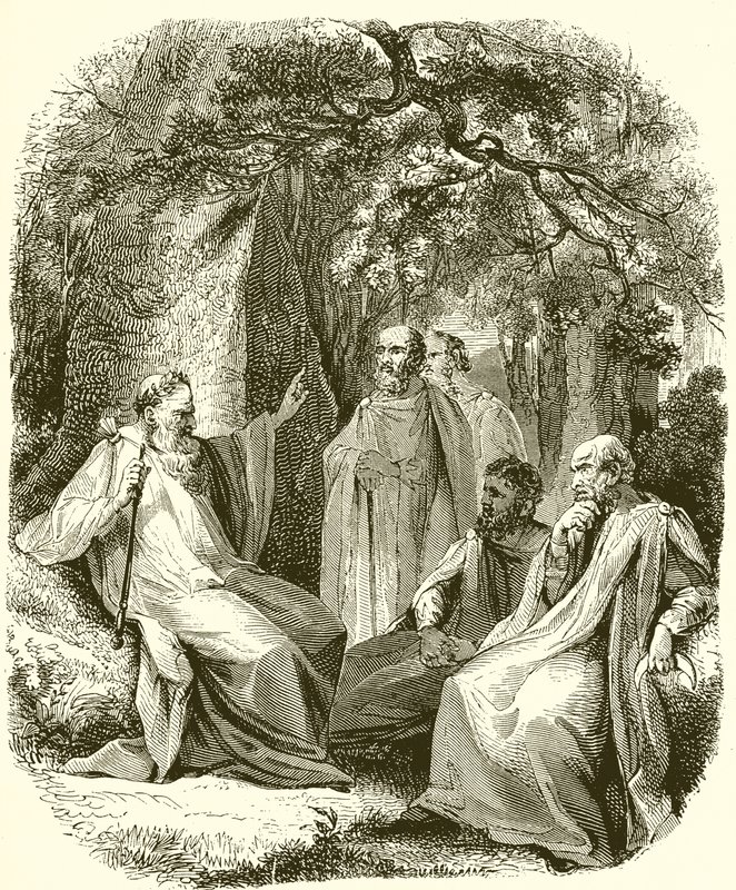Druidové v Sacred Grove od English School