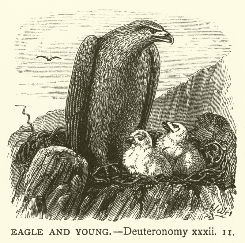 Eagle and Young, Deuteronomium, xxxii od English School