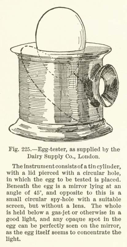 Tester vajec, dodávaný společností Dairy Supply Company, Londýn od English School