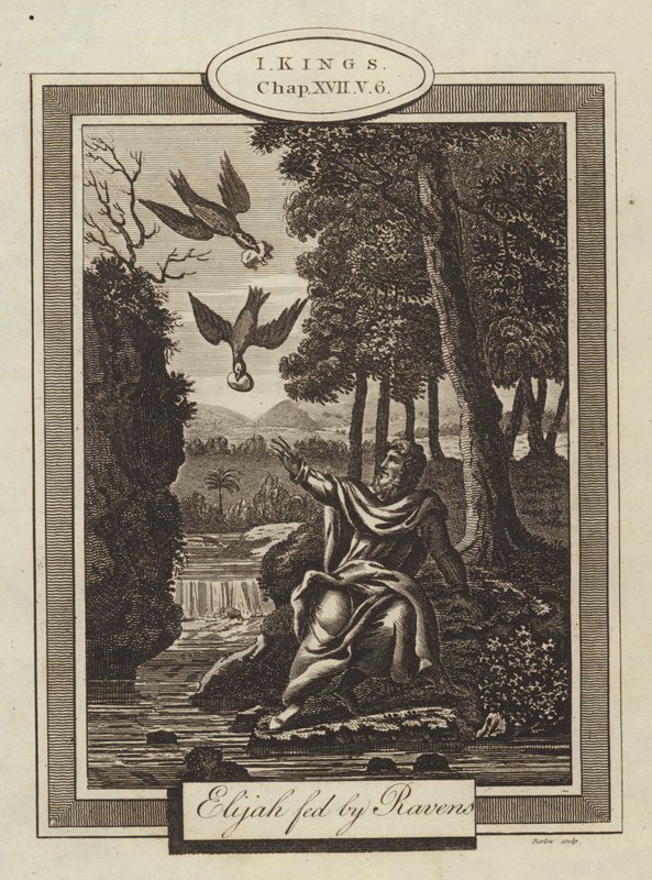Eliáš krmený havrany, já králové, kapitola XVII, verš 6 (rytina) od English School