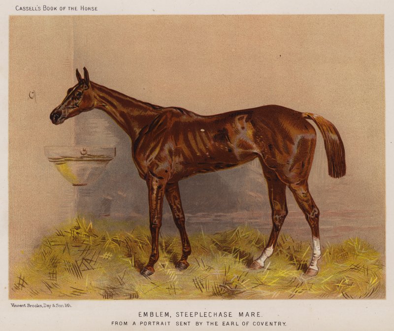 Znak, steeplechase Mare (barva lito) od English School