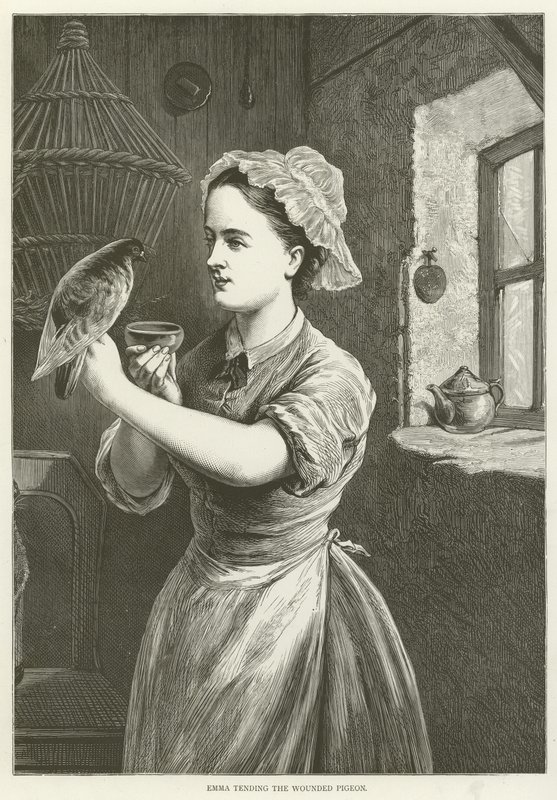 Emma pečuje o zraněného holuba od English School