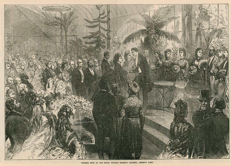 Večerní slavnost v zahradách Royal Botanic Society