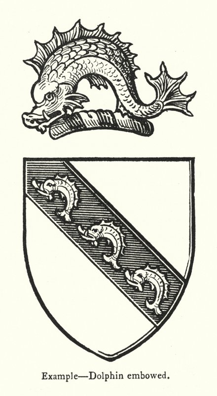 Příklad, Dolphin embowed (rytina) od English School