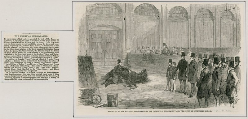 Výstava amerického krotitele koní za přítomnosti Jejího Veličenstva a dvora v Buckinghamském paláci od English School