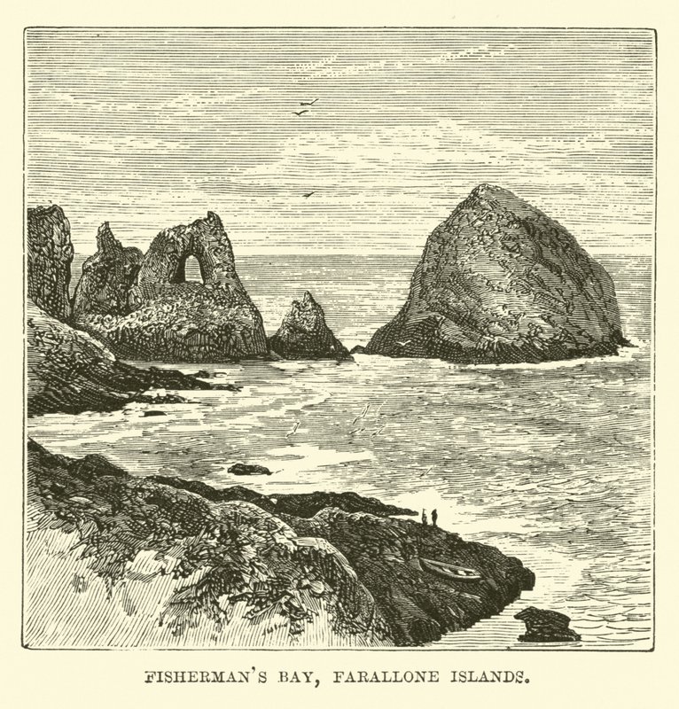 Fishermans Bay, Farallonské ostrovy od English School