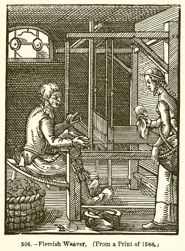 Vlámský tkadlec od English School