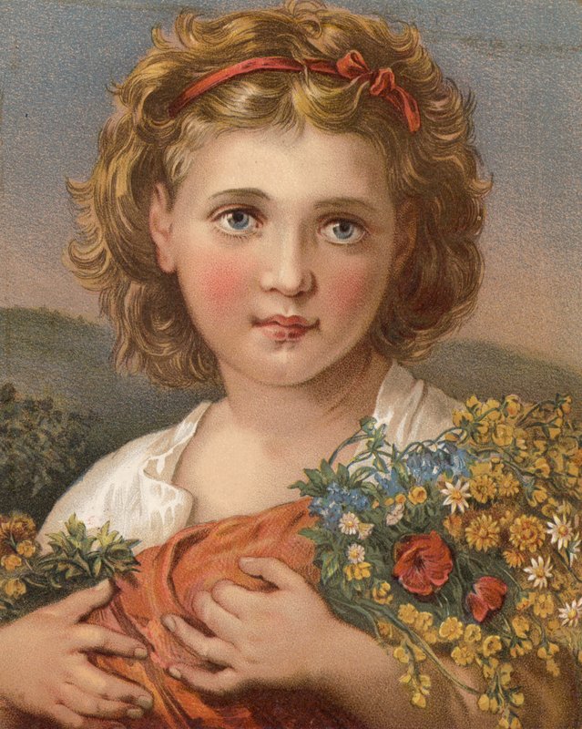 Polní květy (barva lito) od English School