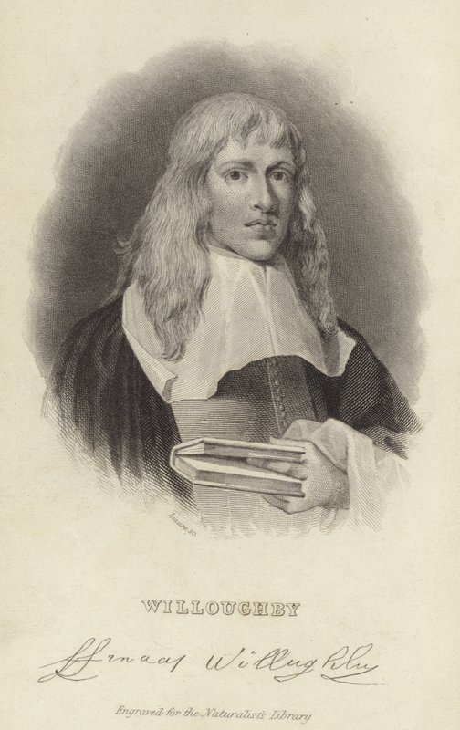 Francis Willughby od English School