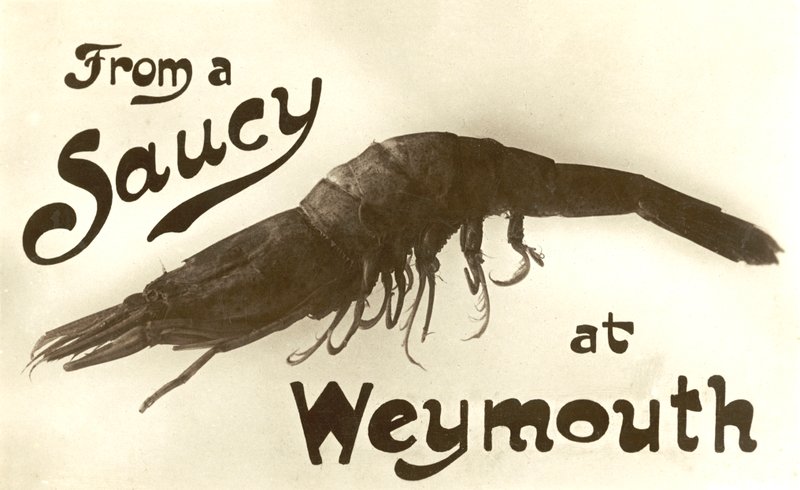 Z pikantní krevety ve Weymouth, blahopřání (litho) od English School
