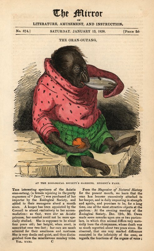 Přední strana The Mirror z 13. ledna 1838 oslavující přílet orangutana do zahrad Zoologické společnosti v Regent