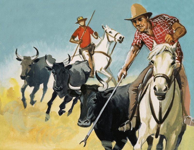 Gardiané z Camargue od English School