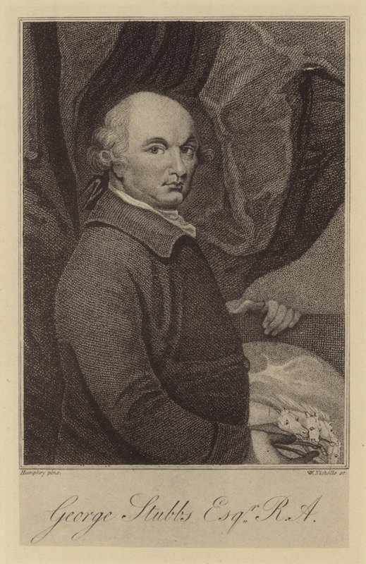 George Stubbs od English School