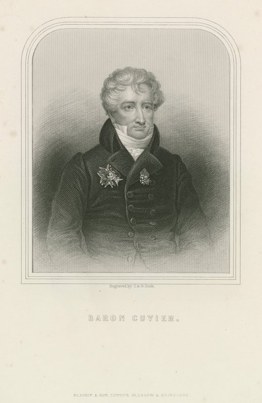 Georges Cuvier , francouzský přírodovědec a zoolog (rytina) od English School