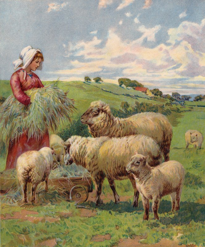 Dívka krmící ovce (barevná litografie) od English School